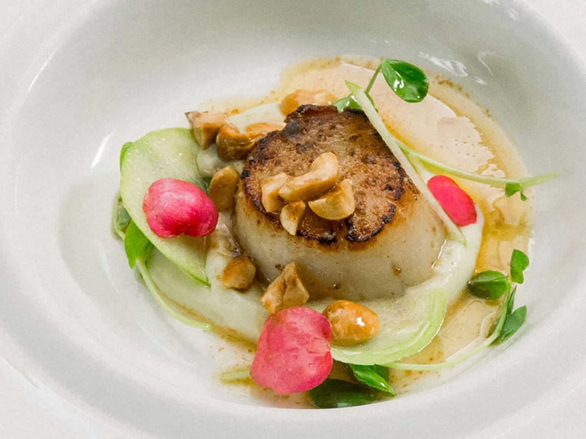 Gourmet scallop dish with microgreens, radish, and cashew garnish on elegant white plate.